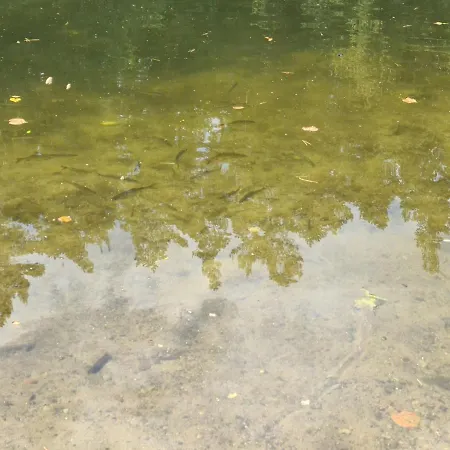 Nyaraló W Polu Miłomłyn